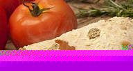 Literato Gourmet 02