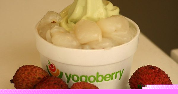 Yogoberry Ipanema 02
