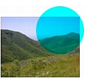 This is a picture of the feature being described.