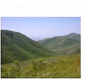 This is a picture of the feature being described.