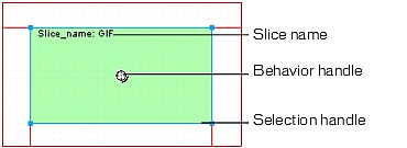 This is a picture of the feature being described.