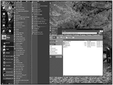 graphic/02fig17.gif