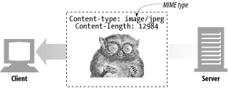 MIME types are sent back with the data content