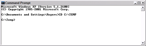 Java ScreenShot
