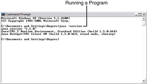 Java ScreenShot