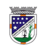 Coat of arms of the municipality of Santo Antônio de Pádua