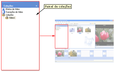 Imagem do painel Coleções