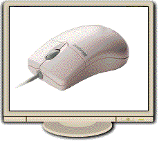 Product Screen Shot